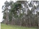 Lot 8773 Hillbrook Road, Northcliffe WA 6262