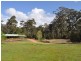 Lot 72 Plackett Drive, Pemberton WA 6260