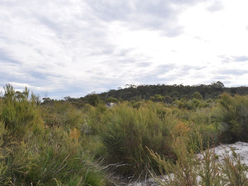 Lot 2 Double Bridges Road, Northcliffe WA 6262