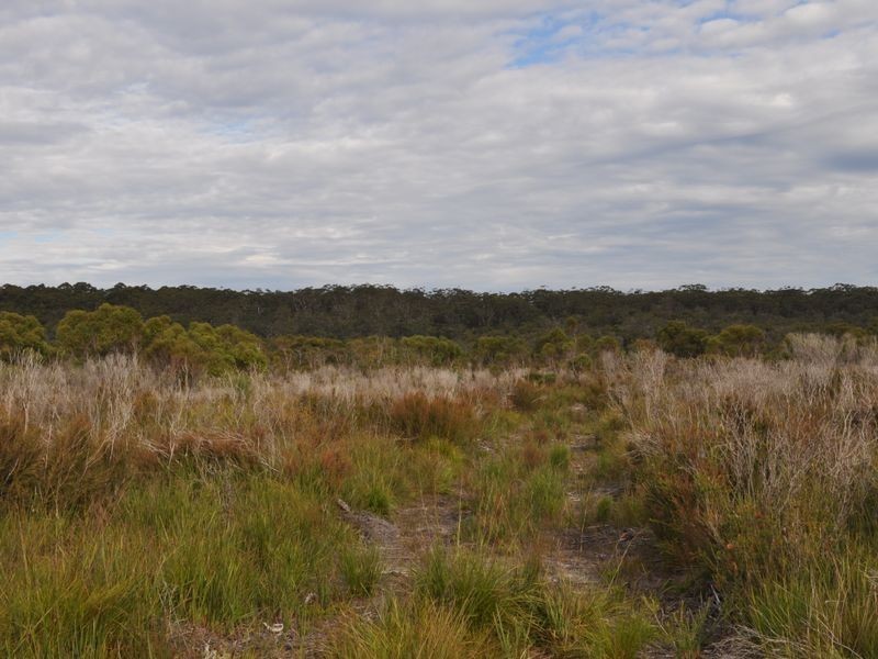 Lot 2 Double Bridges Road, Northcliffe WA 6262