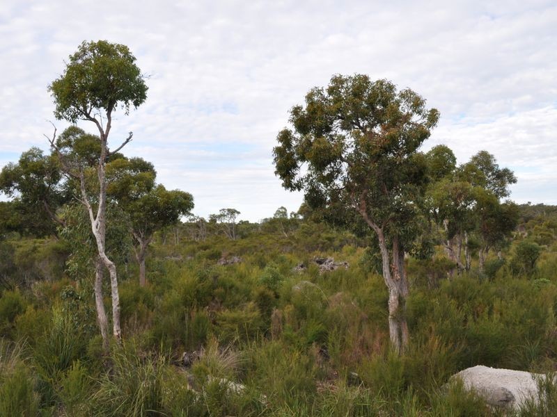 Lot 2 Double Bridges Road, Northcliffe WA 6262