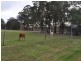 12928 Vasse Hwy, Pemberton WA 6260