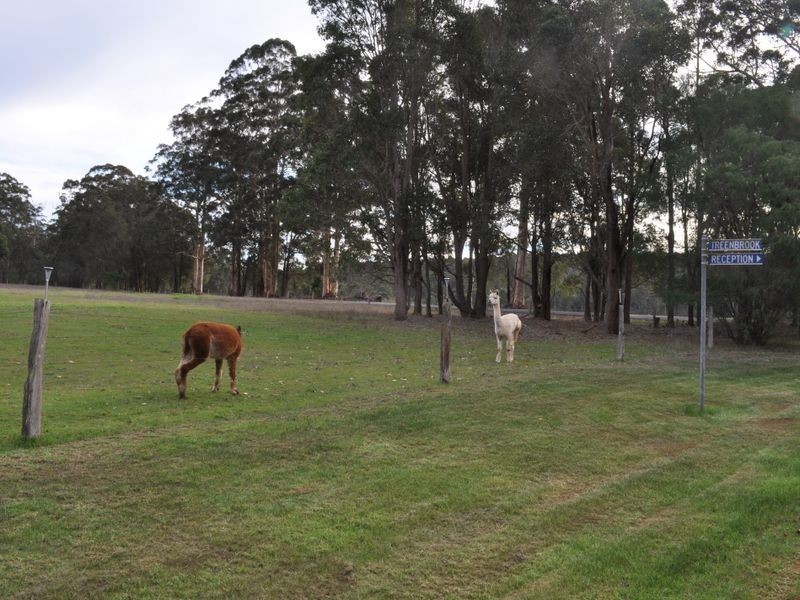 12928 Vasse Hwy, Pemberton WA 6260