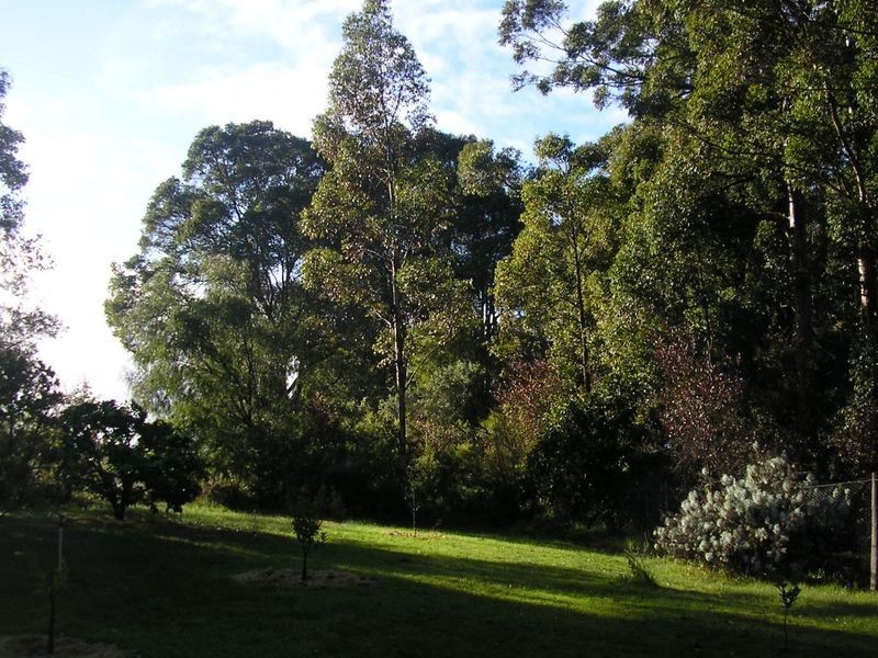 12928 Vasse Hwy, Pemberton WA 6260