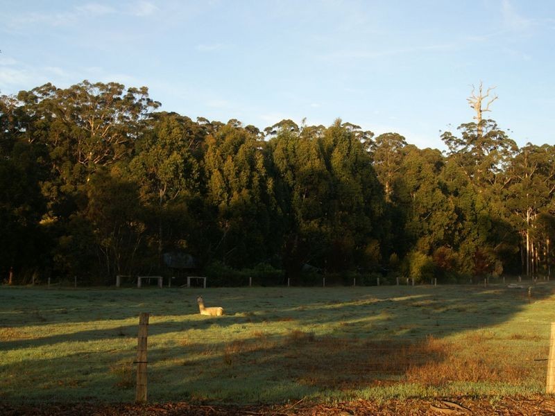 12928 Vasse Hwy, Pemberton WA 6260