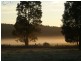 12928 Vasse Hwy, Pemberton WA 6260