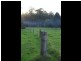 12928 Vasse Hwy, Pemberton WA 6260