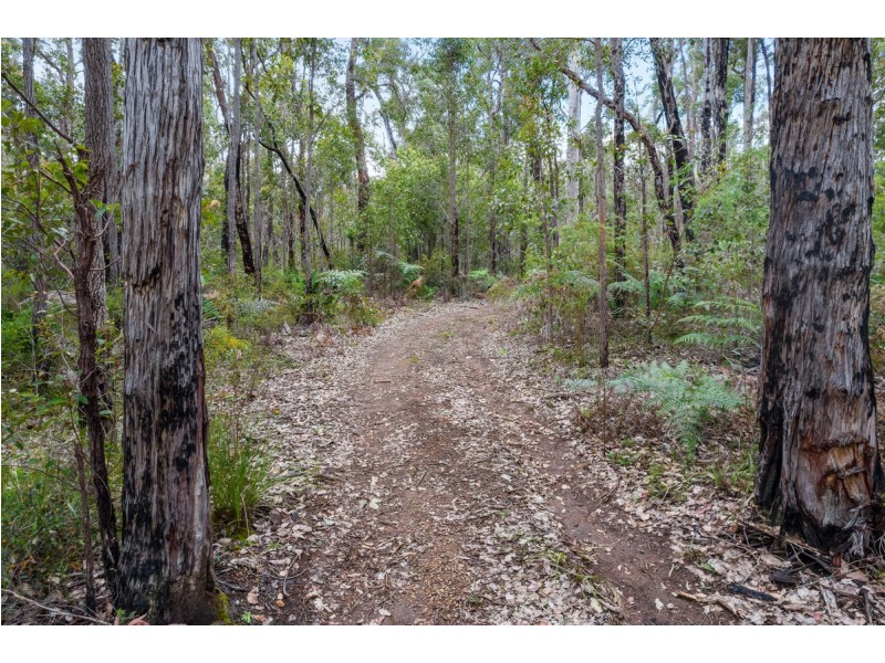 Lot 28 Karri Lane, Quinninup WA 6258