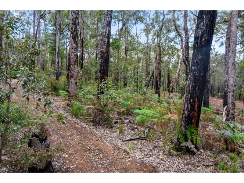 Lot 28 Karri Lane, Quinninup WA 6258