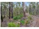 Lot 28 Karri Lane, Quinninup WA 6258