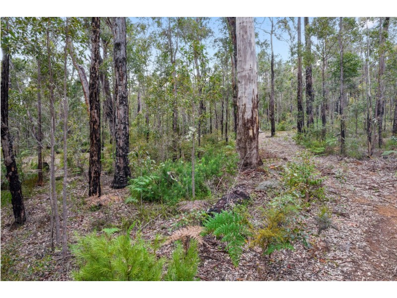 Lot 28 Karri Lane, Quinninup WA 6258