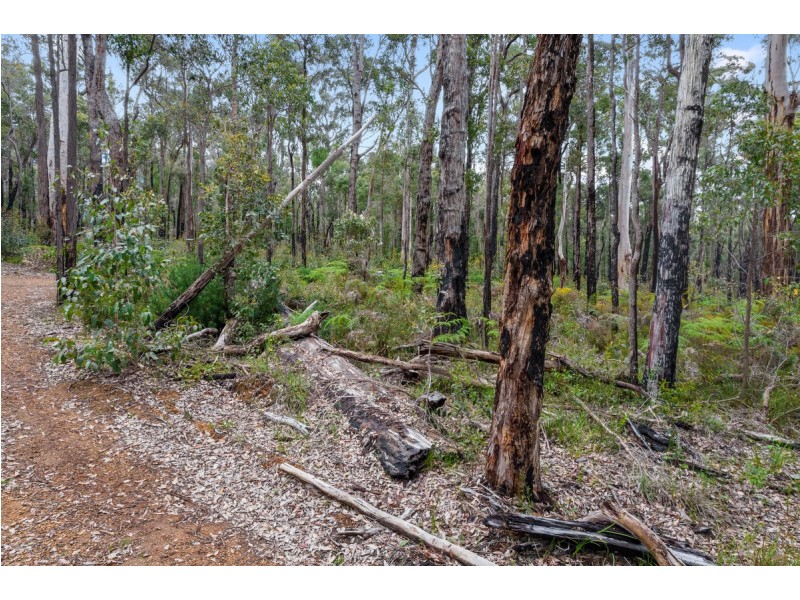 Lot 28 Karri Lane, Quinninup WA 6258