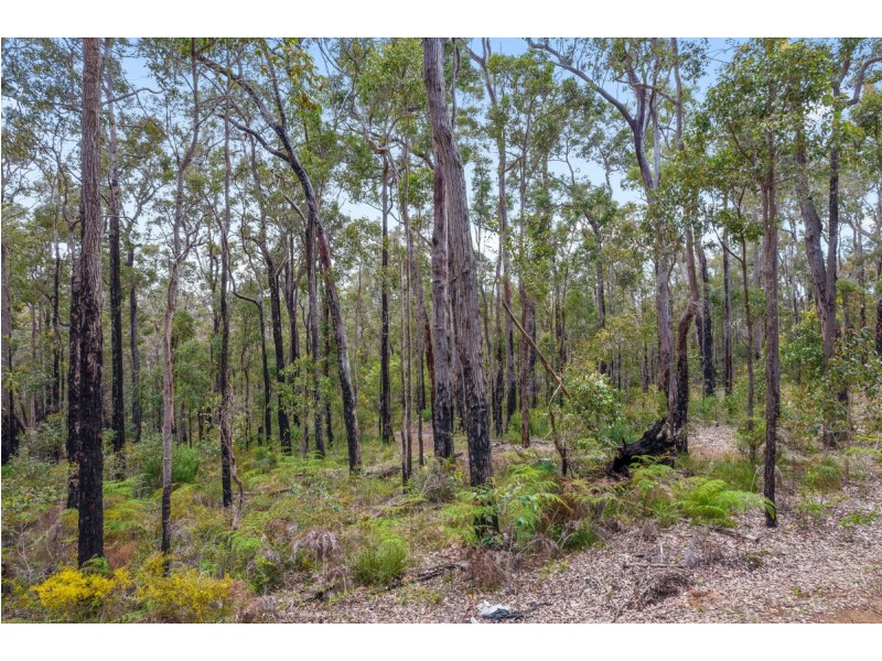 Lot 28 Karri Lane, Quinninup WA 6258