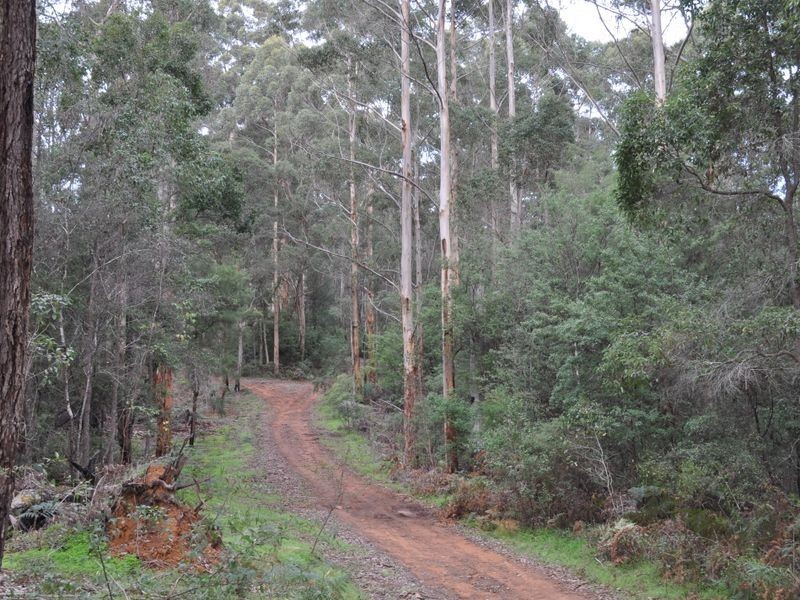 Lot 1 Dean Street, Pemberton WA 6260