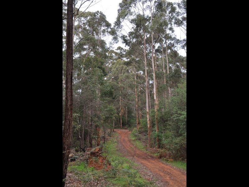 Lot 1 Dean Street, Pemberton WA 6260