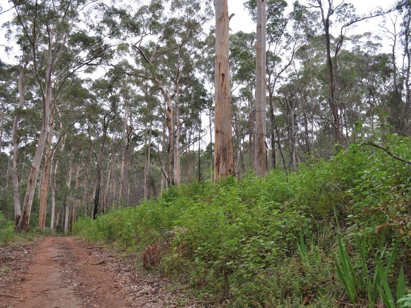 Lot 1 Dean Street, Pemberton WA 6260