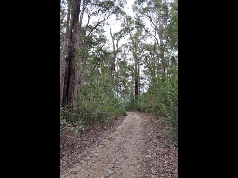 Lot 1 Dean Street, Pemberton WA 6260