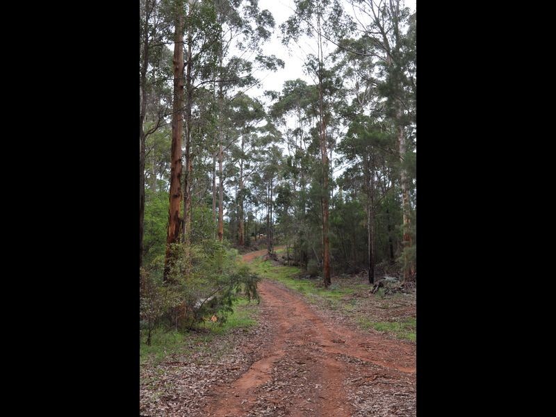 Lot 1 Dean Street, Pemberton WA 6260