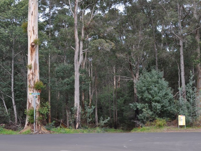 Lot 1 Dean Street, Pemberton WA 6260