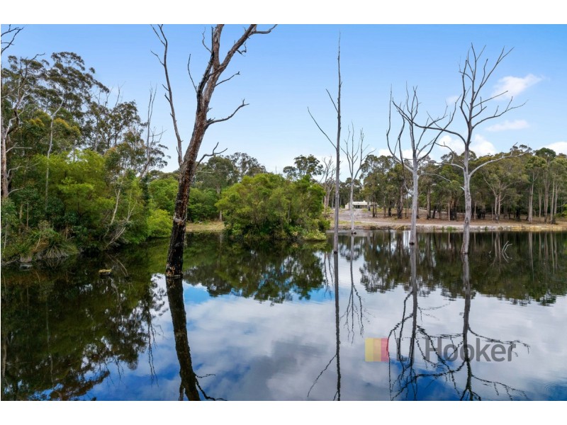 Lot 8670 Gumnut Road (Meerup), Northcliffe WA 6262