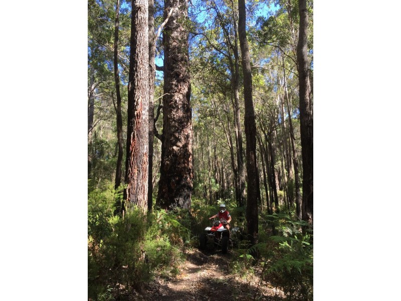 Lot 7 Double Bridge Road, Northcliffe WA 6262