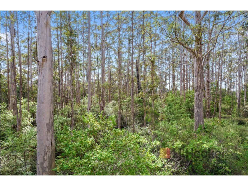 236 Guernsey Gully Road, Northcliffe WA 6262