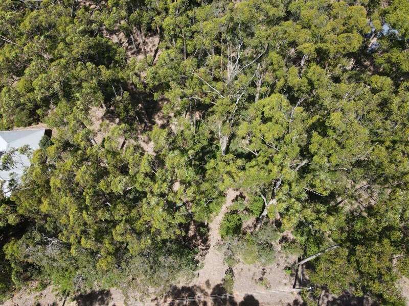 Lot 109/ Karri Lane, Quinninup WA 6258