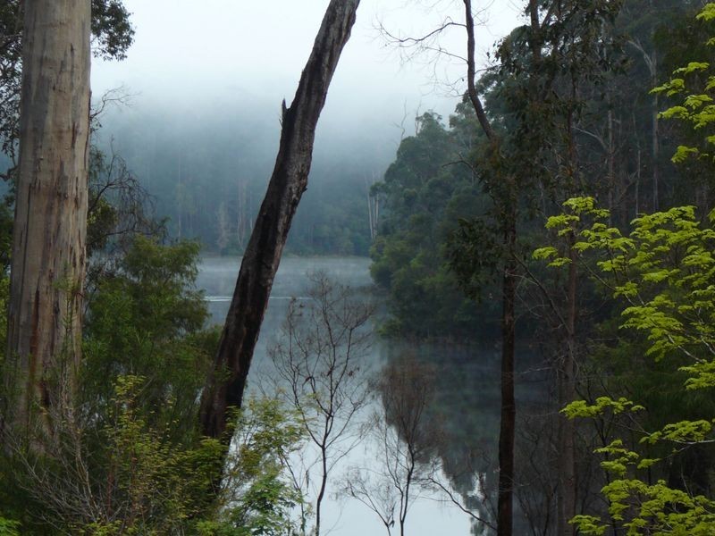 Lot 33 Karri Lane, Quinninup WA 6258