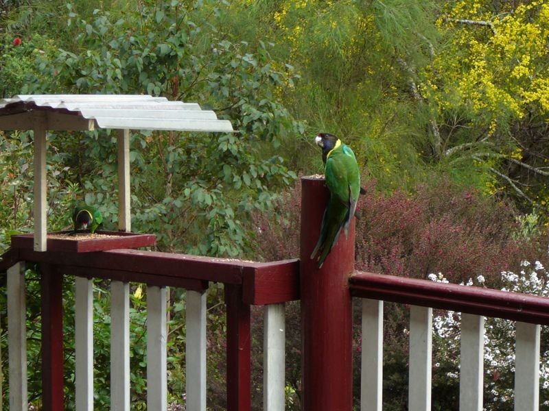 Lot 33 Karri Lane, Quinninup WA 6258