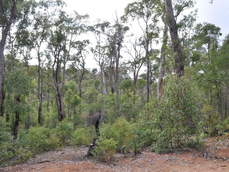 Lot 70 Rainbow Trout Retreat, Quinninup WA 6258