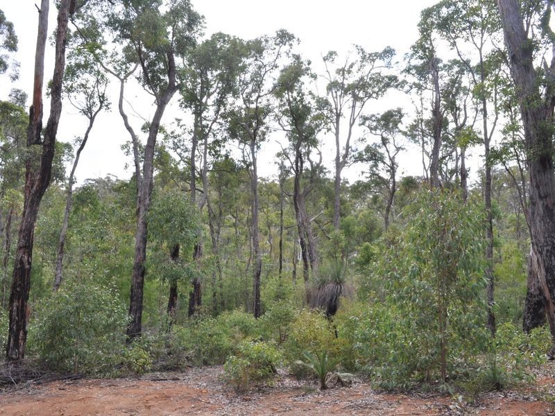 Lot 70 Rainbow Trout Retreat, Quinninup WA 6258