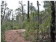 Lot 70 Rainbow Trout Retreat, Quinninup WA 6258