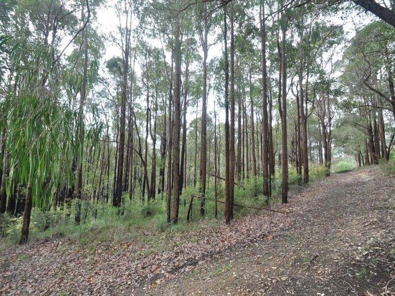 116 Brockman Street, Pemberton WA 6260