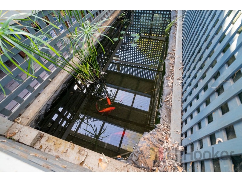 35 Padbury Road, Bridgetown WA 6255