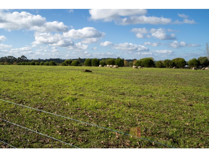 263 Towie Road (Middlesex), Manjimup WA 6258