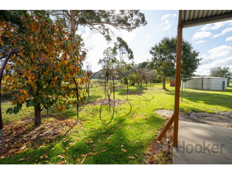 263 Towie Road (Middlesex), Manjimup WA 6258