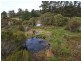 Lot 102/Lot 102 Pemberton-Northcliffe Road, Pemberton WA 6260