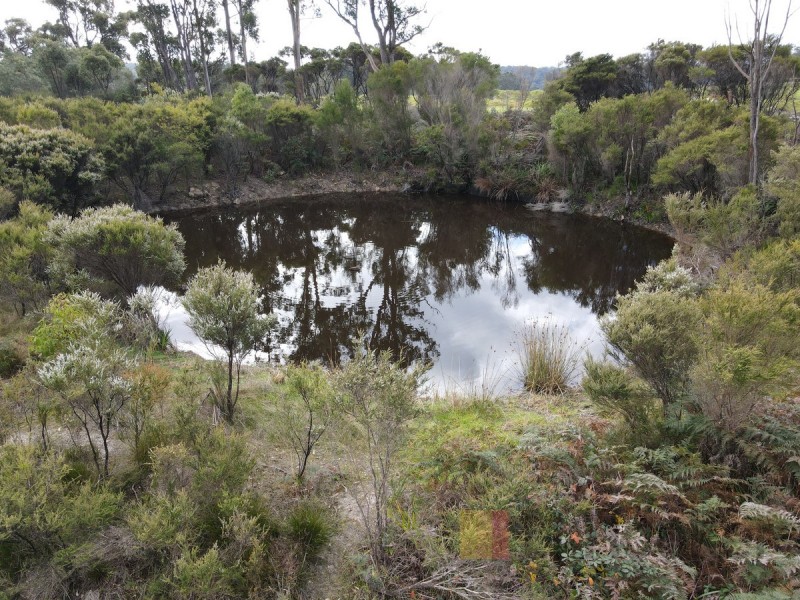 Lot 102/Lot 102 Pemberton-Northcliffe Road, Pemberton WA 6260