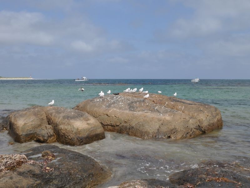 Lot 81 Martyn Place, Northcliffe WA 6262