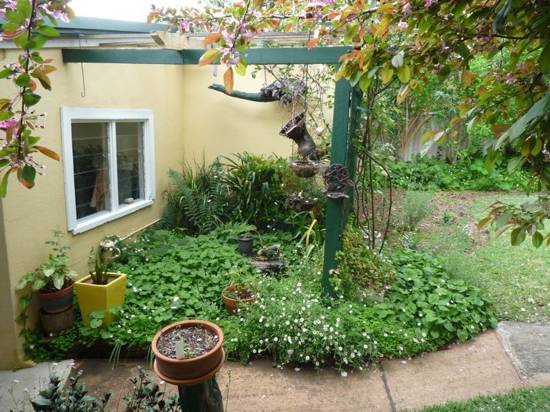 42 Guppy Street, Pemberton WA 6260