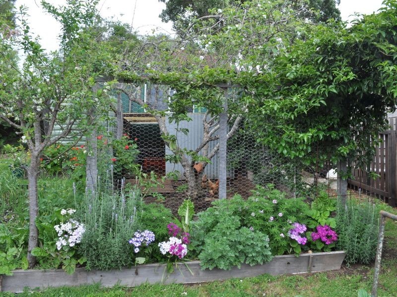 42 Guppy Street, Pemberton WA 6260