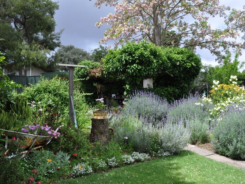 42 Guppy Street, Pemberton WA 6260