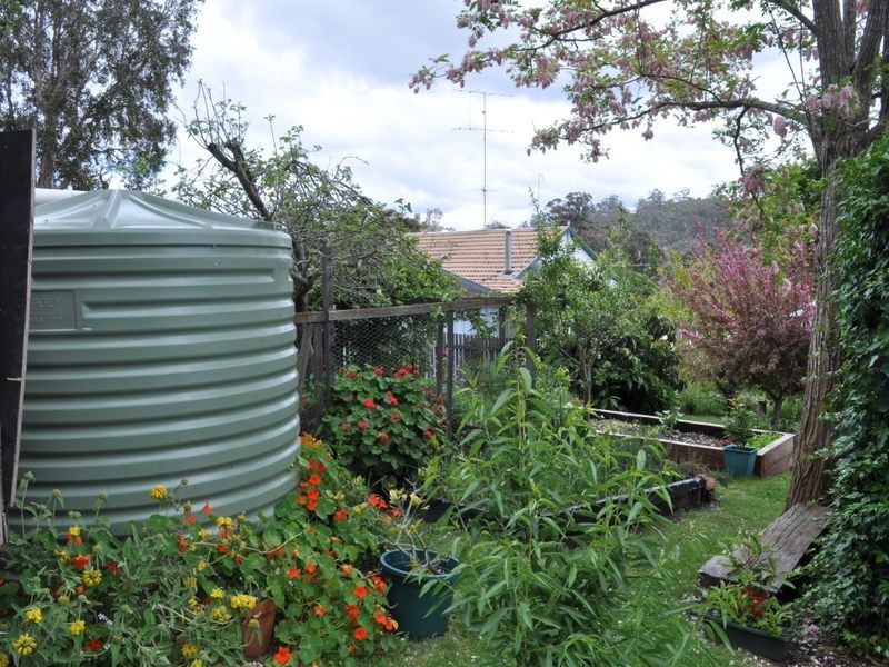 42 Guppy Street, Pemberton WA 6260