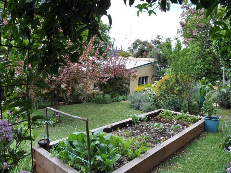 42 Guppy Street, Pemberton WA 6260