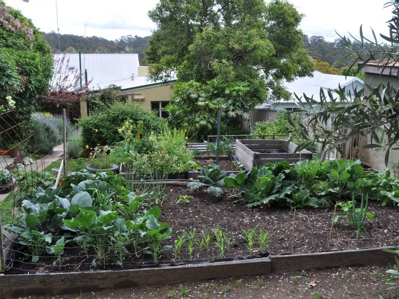 42 Guppy Street, Pemberton WA 6260