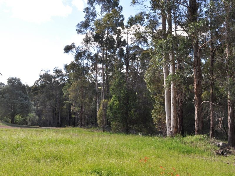 Lot 12 Brockman Street, Pemberton WA 6260