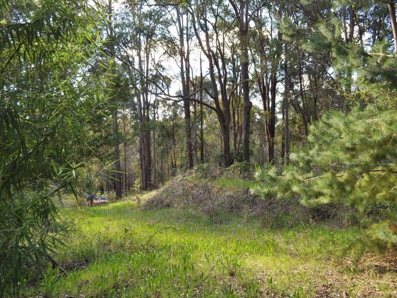 Lot 12 Brockman Street, Pemberton WA 6260