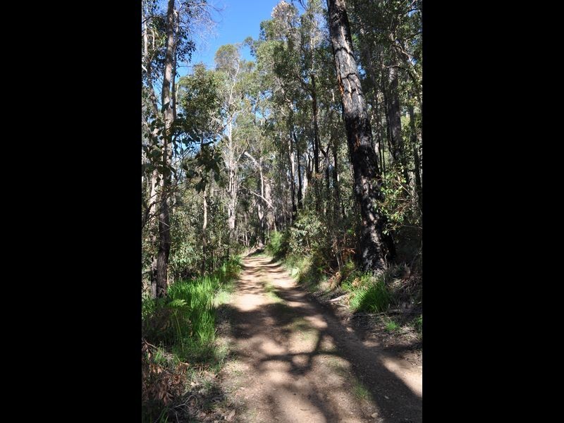 Lot 12 Brockman Street, Pemberton WA 6260