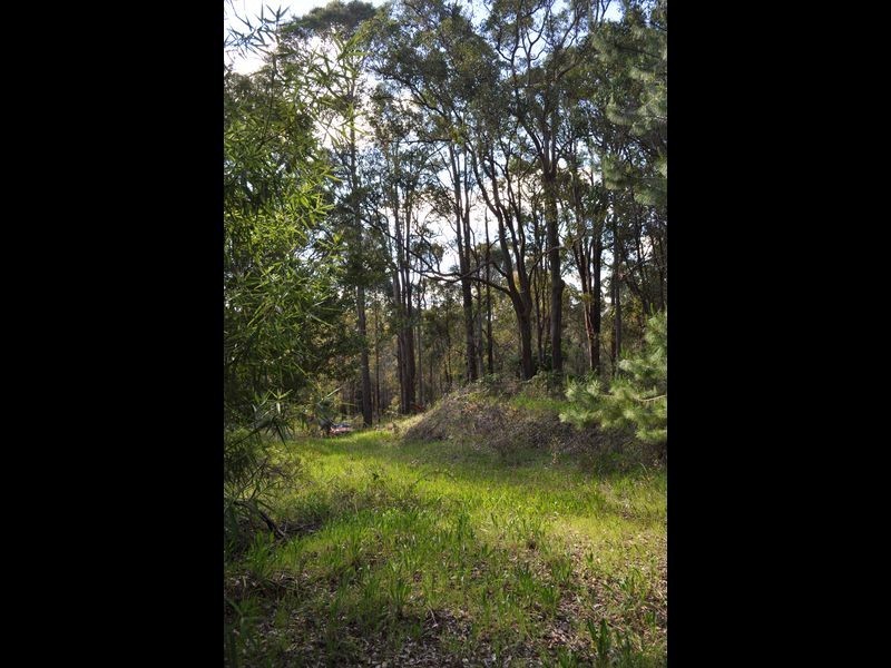 Lot 12 Brockman Street, Pemberton WA 6260