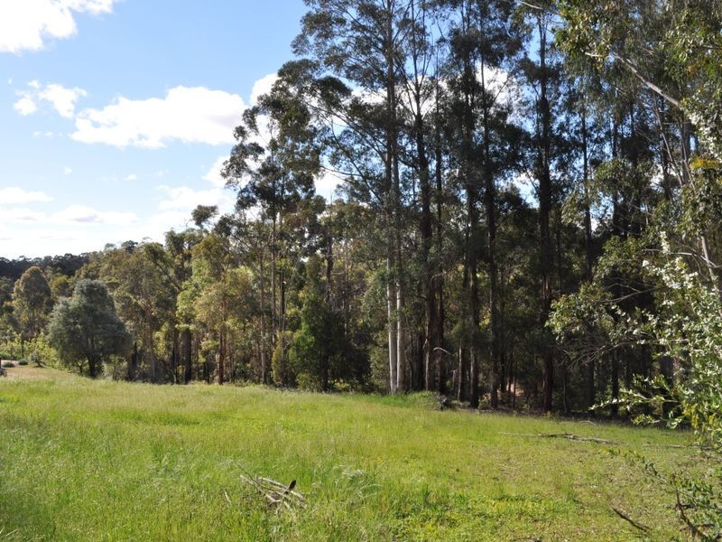 Lot 12 Brockman Street, Pemberton WA 6260